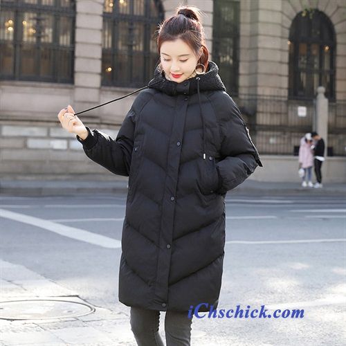 Bekleidung Baumwolle Mantel Winter Gemütlich Mode Einfach Lange Beige Online